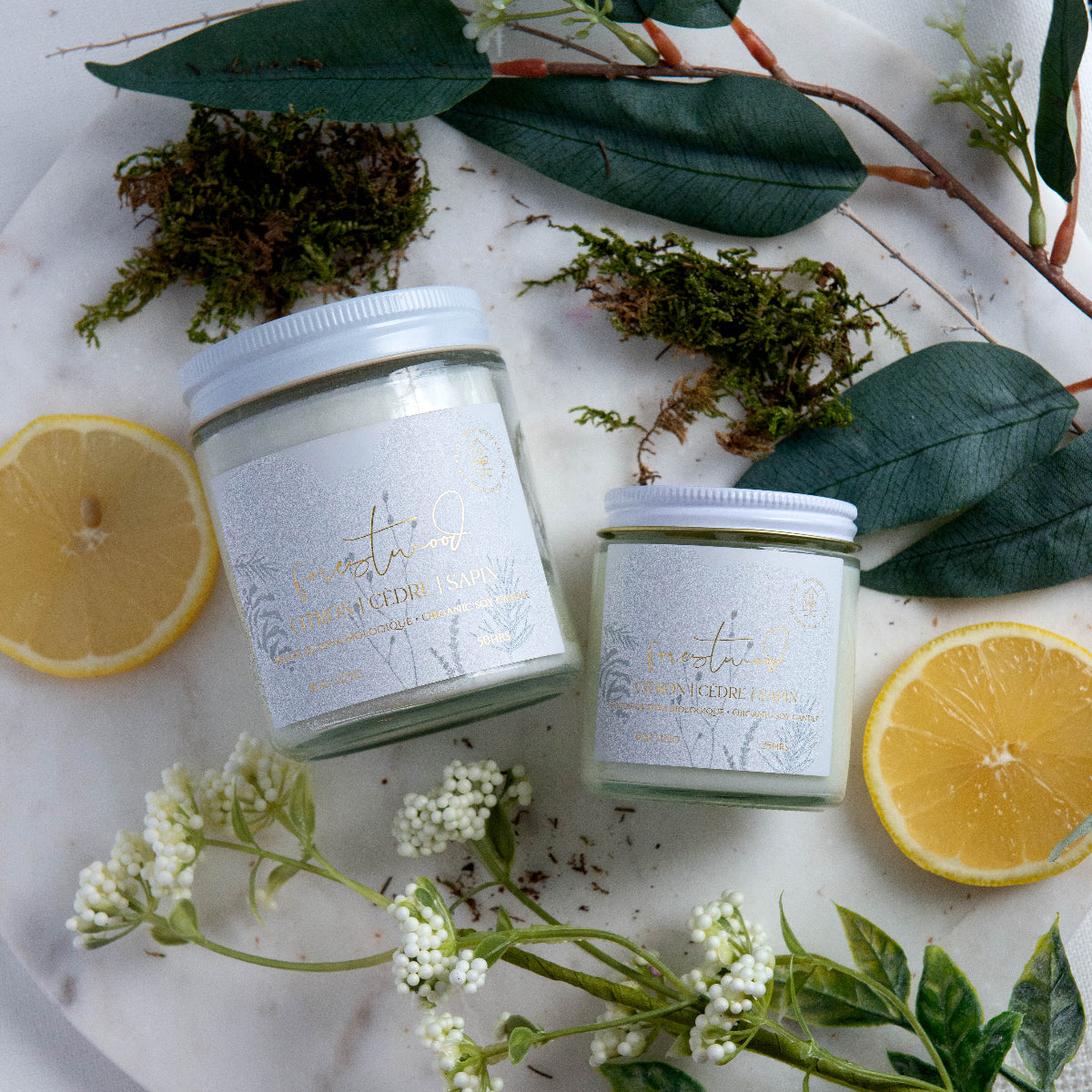 Diffuser une ambiance boréale avec une bougie parfumée en cire de soya biologique aux notes de sapin baumier et cèdre, offerte avec mèche de bois ou coton.