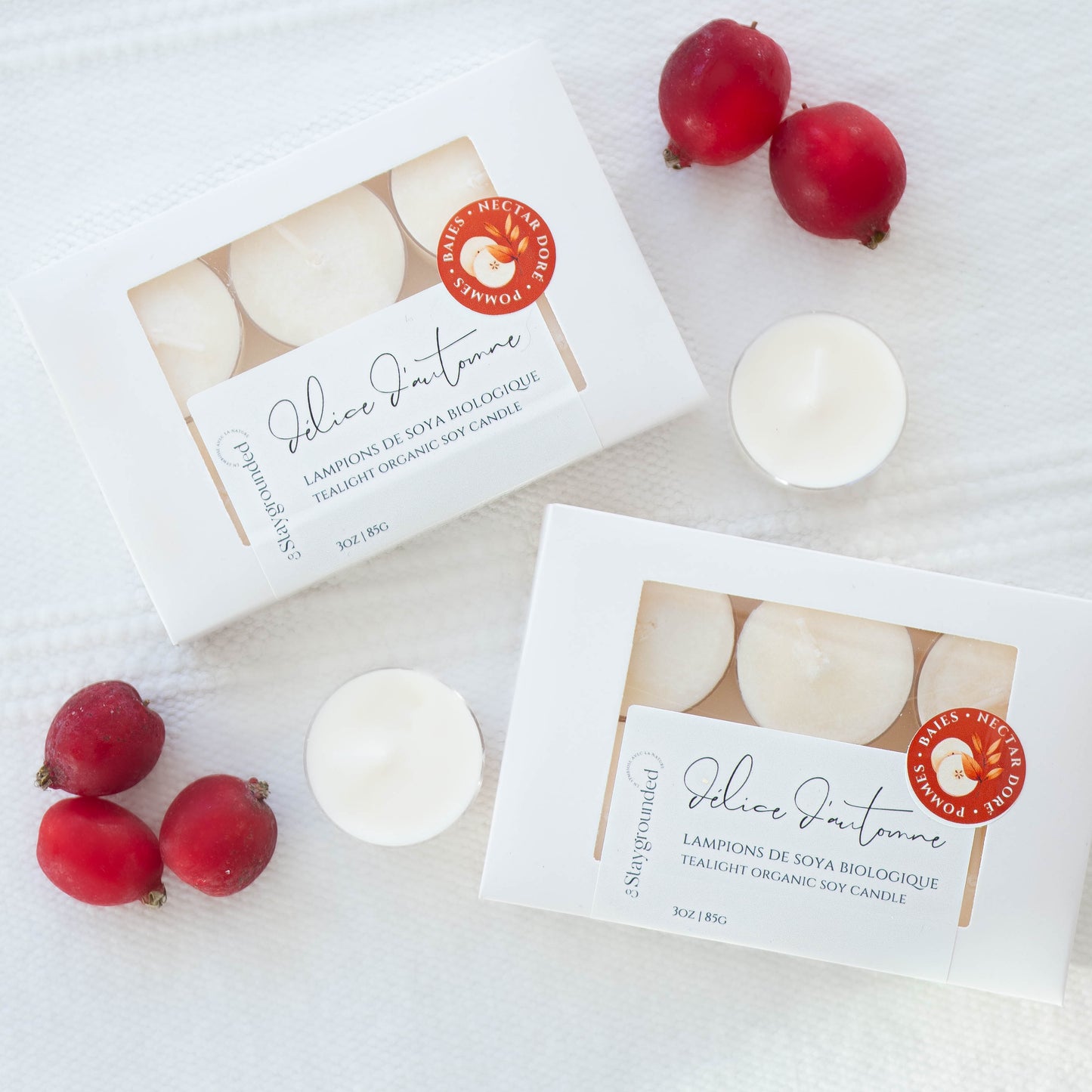 Apple &amp; Spice Lanterns | Autumn Delight