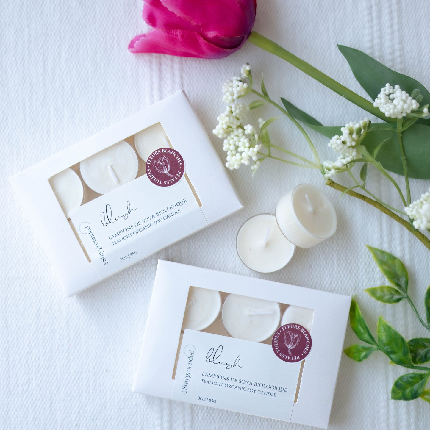 Lampions Pétales de Tulipes | Blush