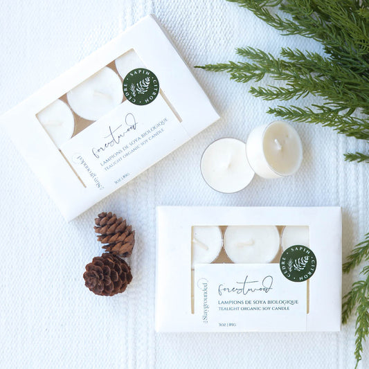 Lampions Sapins & Cèdres | Forestwood