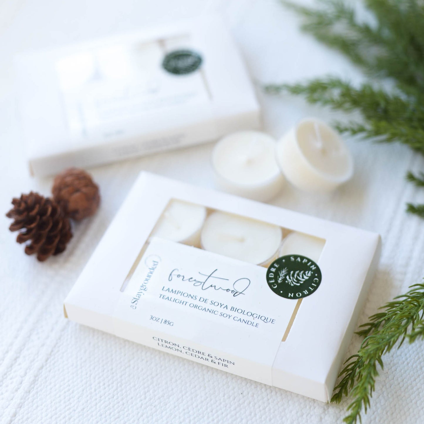 Fir &amp; Cedar Lanterns | Forestwood