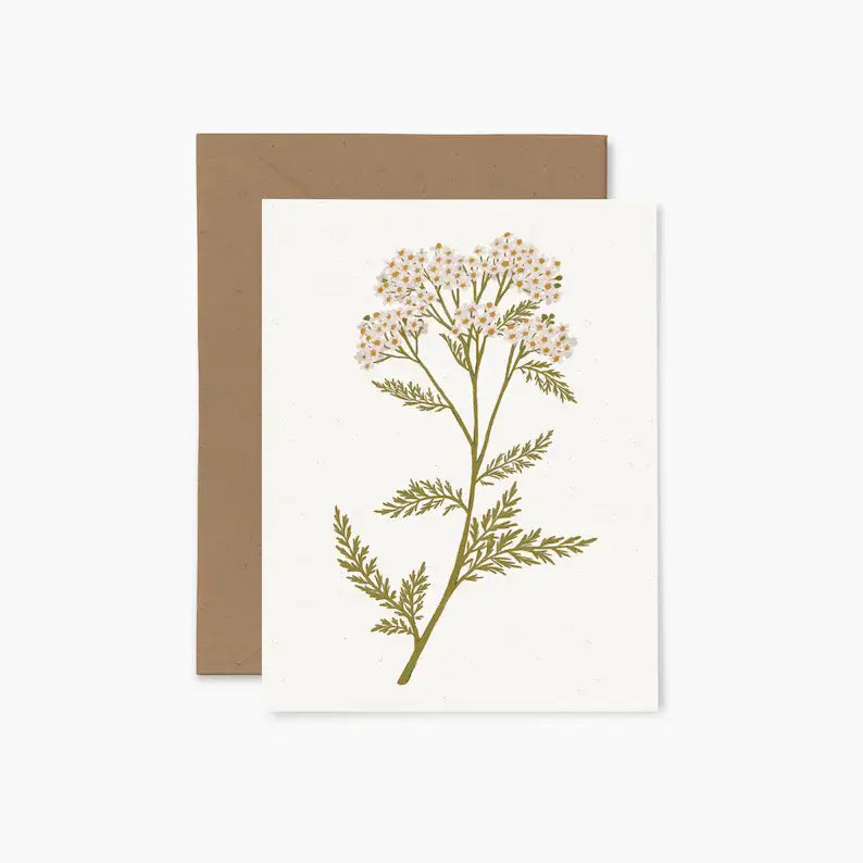 Offrir un mot de douceur avec une carte de souhaits illustrée par Joannie Houle, motif botanique d'achillée, style minimaliste.